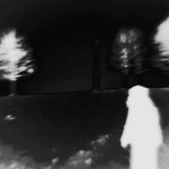 3UMN1Y X0L0D - (slowed + reverb)
