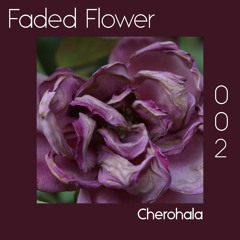 Faded Flower | 002