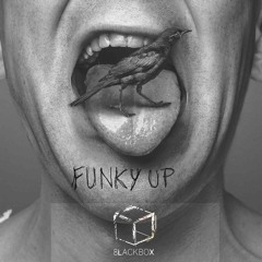 David Schirmeister - FunkYUp (Original Mix)