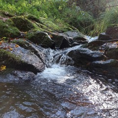 ruscello borbottante- Conca