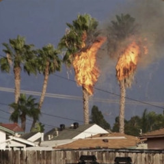 i need. (early 2016)