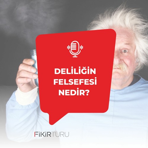 Deliliğin felsefesi nedir?