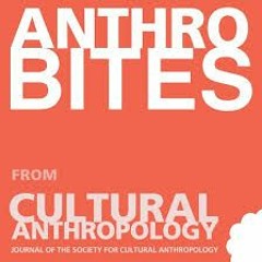 AnthroBites: Anthropology of NGOs
