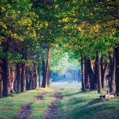 โบรโค้ด background pattern - FREE DOWNLOAD