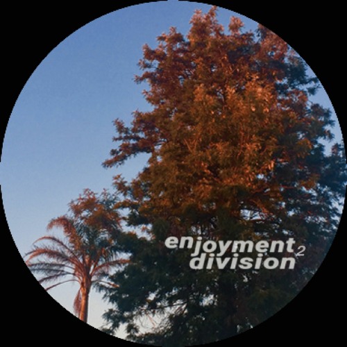 Enjoyment Division 002 - Dawn Again
