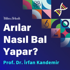 Arılar Nasıl Bal Yapar? Prof. Dr. İrfan Kandemir Bal Arılarının Biyolojisini ve Balı Nasıl Ürettiğini Anlatıyor