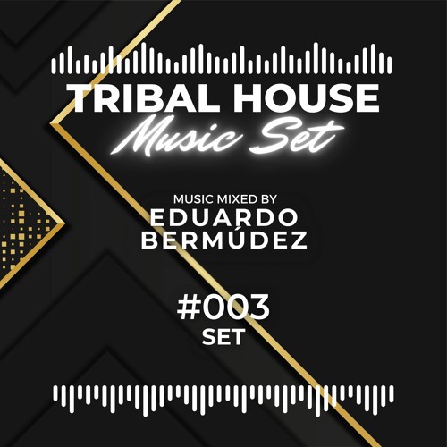 TRIBAL HOUSE MUSIC SET #003