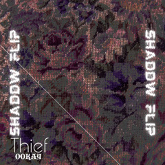 Ookay - Thief (SHADDW Flip) (dm for full version)