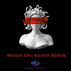 Never Say Never Again - Ertan Koculu