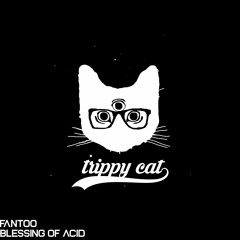 Fantoo - Blessing Of Acid [TRIPPY CAT MUSIC]