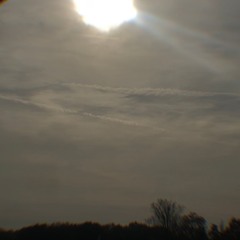 LOVE CURSE_PROD BUANA