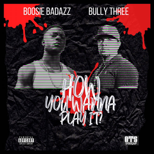 Bully Three x Boosie - How You Want It. prodbyyungpear/Aasisbeats