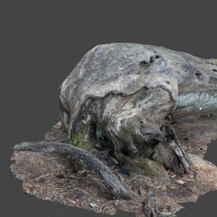 Volodymyr Yefimchuk - track 1