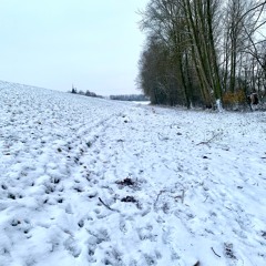 Steps On The Snow