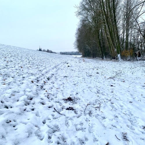 Steps On The Snow