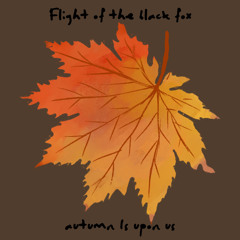 a song for everyone