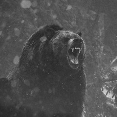 GRIZZLY