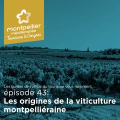 Épisode 43: Les origines de la viticulture montpelliéraine