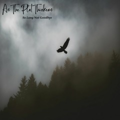 So Long Not Goodbye (acoustic version)