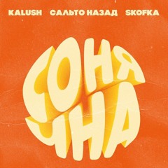 Сонячна (feat. Сальто Назад & Skofka)