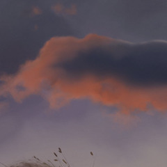 Project_6