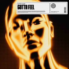 Gotta Feel - Dante Klein