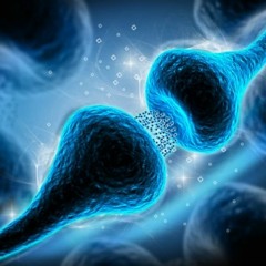 Molecular Basic of Life (part2 *unmixed working version)