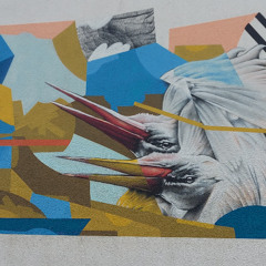 Auf und durch die Wolken