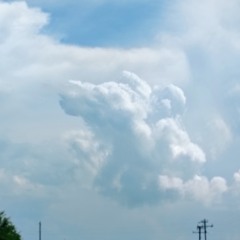 Track 1 For every victum betrayed