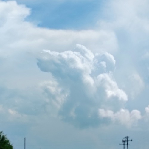 Track 1 For every victum betrayed