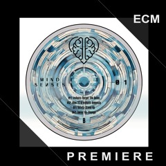 PREMIERE: Sdietz Stand Up (Original mix) [Mind Senses] Only vinyl