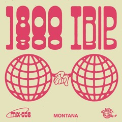 1800 triiip - Montana - 008