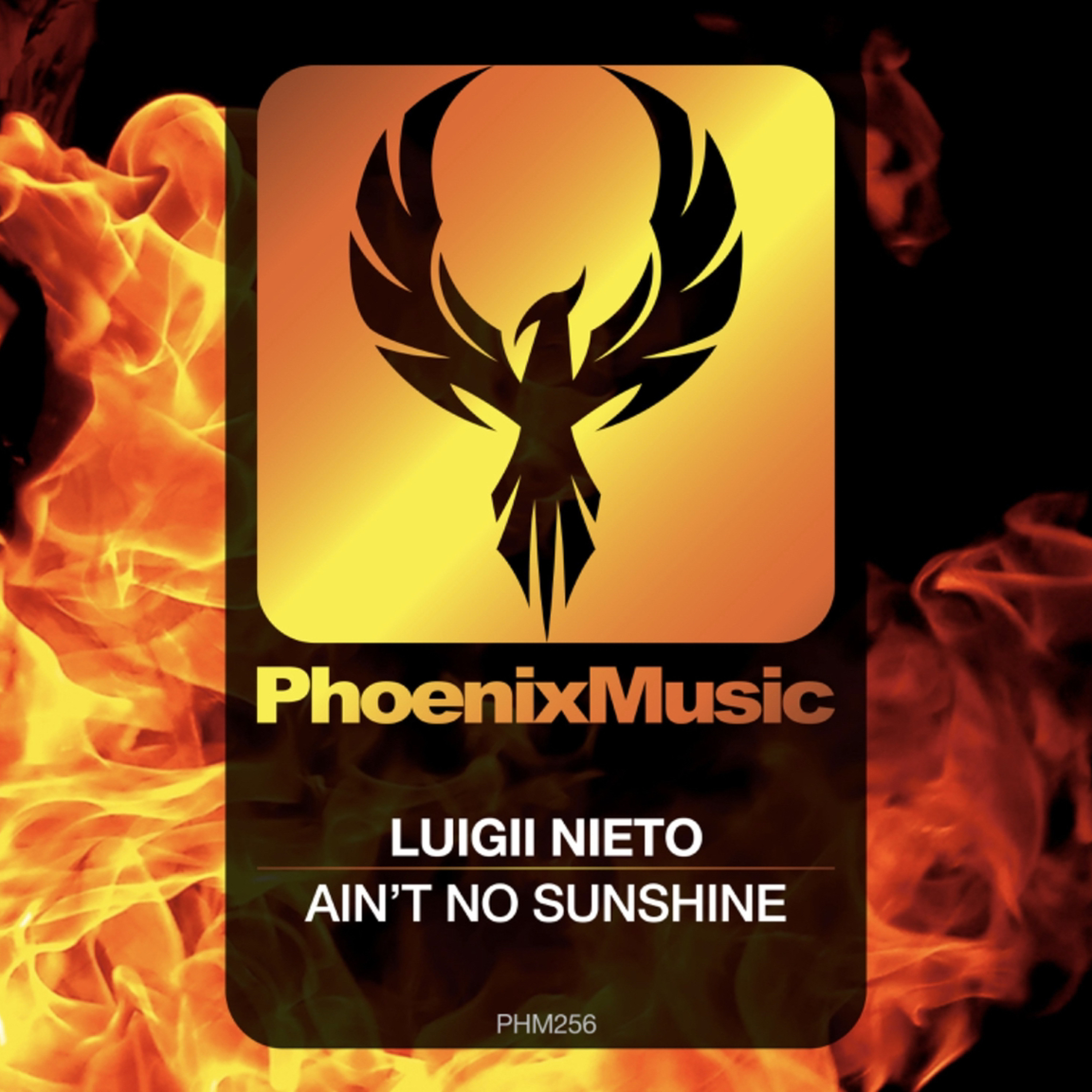 luigii nieto