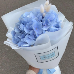 Normal No More 中文 - Chinese ver 独到 - 高睿