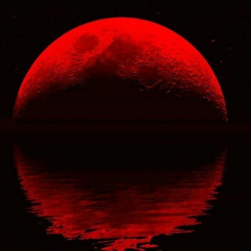 In My Dreams
