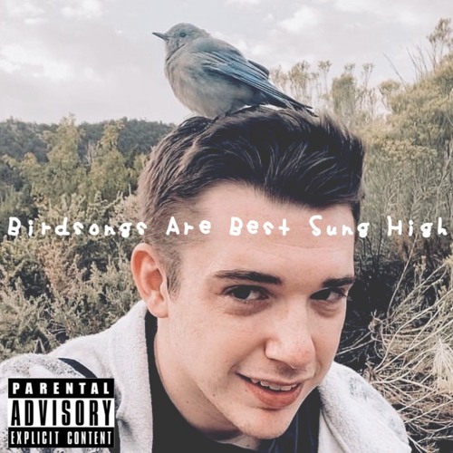 Stream Sad Boy Summer by Cody Draco Listen online for free on SoundCloud