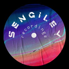 HSM PREMIERE | Ben MG - Polar [Sengiley Records]