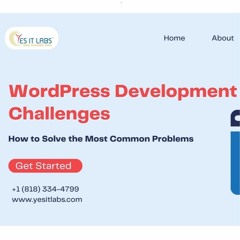 WordPress Development Challenges: How to Solve the Most Common Problems
