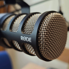 Перший тематичний випуск Міжнародного освітнього радіо «Український Альянс»