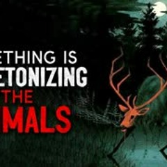 "Something is Skeletonizing the Animals" Creepypasta