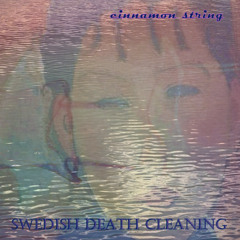 Swedish Death Cleaning
