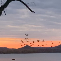 Lift, Press, Breathe  11-18-25