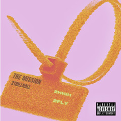 The Mission