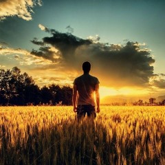 النهايات تُسلِّم بداياتٍ جديدة - د. عبد الرحمن ذاكر الهاشمي