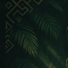 Baile del flamenco - Disgo Opo