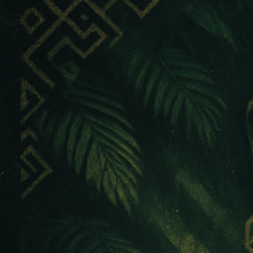 Baile del flamenco - Disgo Opo