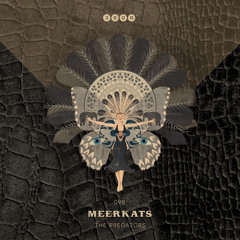 PREMIERE: Meerkats - Black Widow (Original)