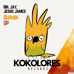 Mr. Jay, Jesse James - Burnin Up ⭐️ Exclusive 🦜