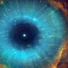 WolfMan / Steady Knowin Freestyle