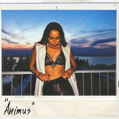 Gin Tonic con Animus